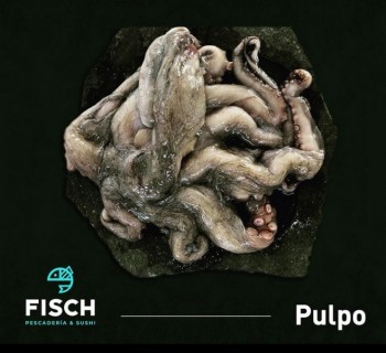 Pulpo 6+ Español  - 6 kg