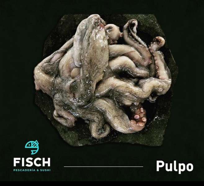 Pulpo 1/2 Español - 1 / 2 kg