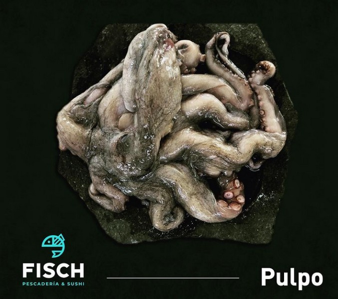 Pulpo 2/3 Español - 2 / 3 kg